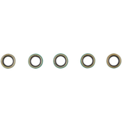 SHIFTER SHAFT SEAL EVO-BT