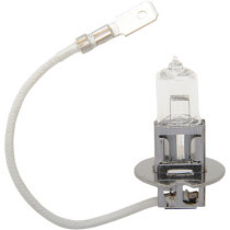 Ampoule halogène H3 - 12 V - 55 W - clair