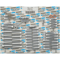 Kit de vis moletées de moteur - pour Harley Davidson Sportster XL à partir de 2007 - chromé