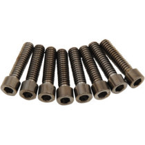 Kit de vis lisses de poussoirs - pour Harley Davidson avec moteur M8 à partir de 2017 - noir