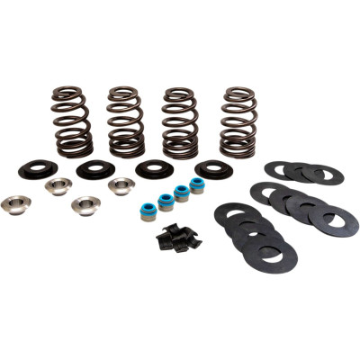 VALVE SPRINGS ECONO TC
