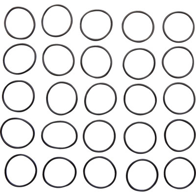 O-RING LOWER TAPPET GUIDE