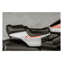 Killer Custom, Sportster S ''Predator'' passenger seat