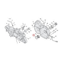 Retaining rings, pinion/sprocket shaft bearing