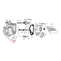 Oil pump drive shaft