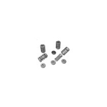  Valve Spring Kits 