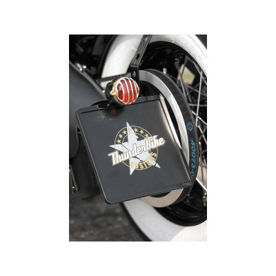  Alcatraz LED Taillight without Mounting Bracket Brass Polished Black Dual Filament 