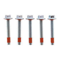 Bolt, transmission to primary