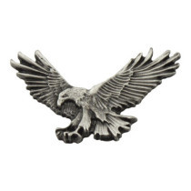 Biker Pins Fishing eagle pin