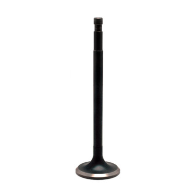 KPMI, Black Diamond intake/exhaust valve. Oversize