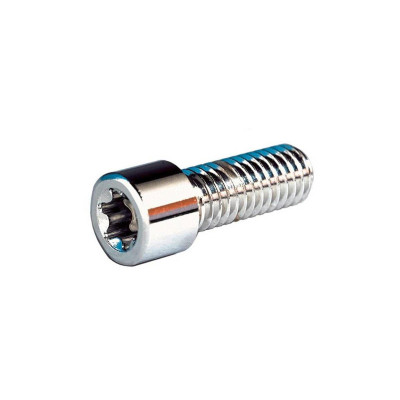 Torx Sockethead Screw Pack Chrome Grade 8 Torx 1/2"