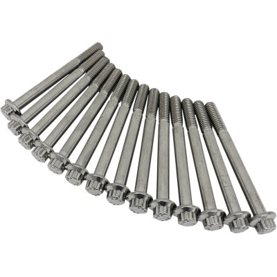 ENGINE CASE BOLTS FOR MILWAUKEE 8 SOFTAIL