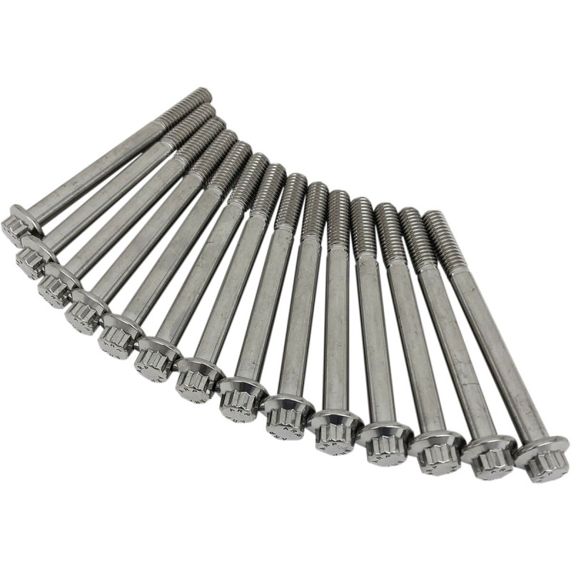 ENGINE CASE BOLTS FOR MILWAUKEE 8 SOFTAIL
