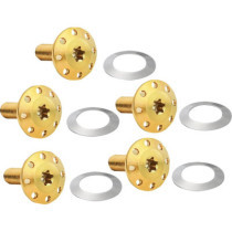 BOLT KIT ROTOR FRONT HOLESHOT  5 PACK SPOKE MOUNT,GOLD