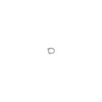  SHIFTFORK LOCKWASHER 