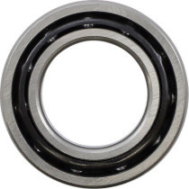 Replacement Bearing