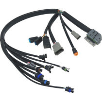 HARNESS EFI 04-05 FLH/FLT