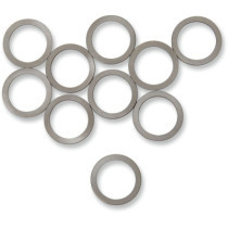 36-99 BT CAM GEAR SHIMS