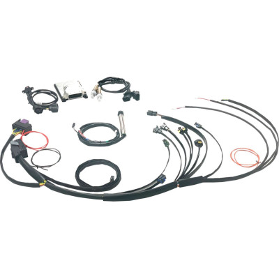 Complete Stand Alone EFI Engine Management System - Twin Cam