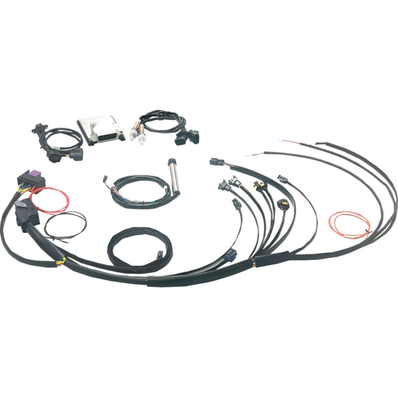 Complete Stand Alone EFI Engine Management System - Twin Cam