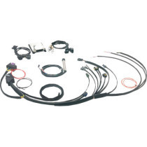 Complete Stand Alone EFI Engine Management System - Twin Cam