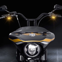 TURN SIGNAL - STRIPES - FLT 21-25 - BLACK