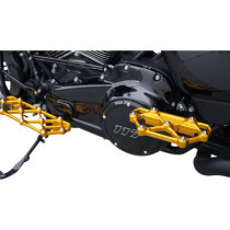 FLOORBOARD PASSENGER DIAMOND GOLD