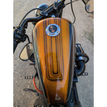 Harley Davidson XL 1200 X FORTY EIGHT 1200 de 2012