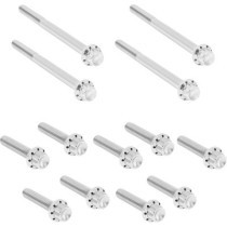 Bolt Kit - Outer Primary Cover - 12-Point Flange - Polished