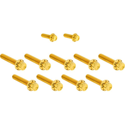 HARDWARE KIT TITANUIM 12PT CAM & POINT GOLD