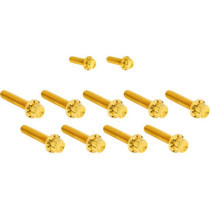 HARDWARE KIT TITANUIM 12PT CAM & POINT GOLD