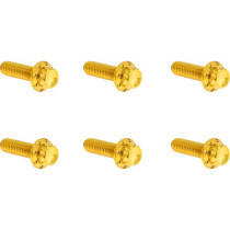 Bolt Kit - Transmission Top Cover - 12-Point - Gold