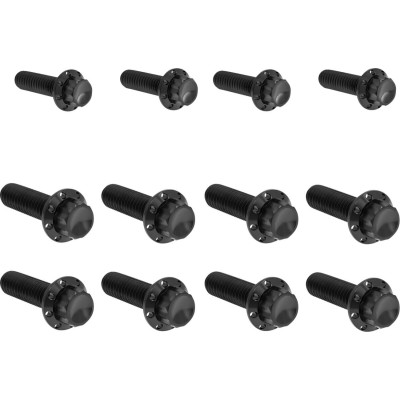 Bolt Kit - Transmission Side Cover/Trap Door - 12-Point - Black