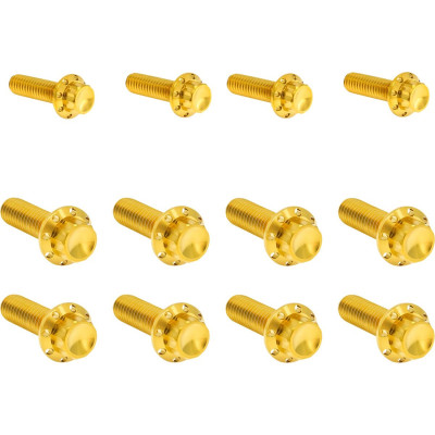 Bolt Kit - Transmission Side Cover/Trap Door - 12-Point - Gold