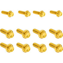 Bolt Kit - Transmission Side Cover/Trap Door - 12-Point - Gold