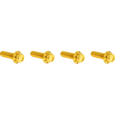HARDWARE KIT TITANUIM 12PT TRANS TOP CVR GOLD