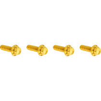 HARDWARE KIT TITANUIM 12PT TRANS TOP CVR GOLD