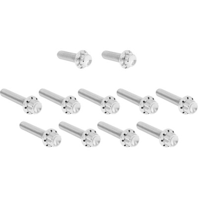 Bolt Kit - Cam Cover/Point Cover - 12-Point - Polished