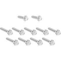 Bolt Kit - Cam Cover/Point Cover - 12-Point - Polished