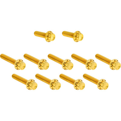 Bolt Kit - Cam Cover/Point Cover - 12-Point - Gold