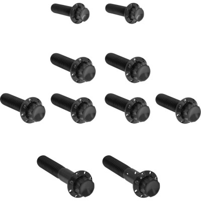 Bolt Kit - Transmission Side Cover/Trap Door - 12-Point - Black