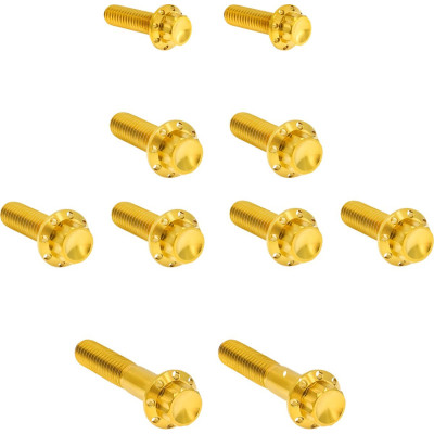 Bolt Kit - Transmission Side Cover/Trap Door - 12-Point - Gold