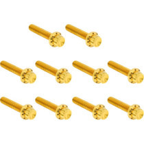 HARDWARE KIT TITANUIM 12PT CAM & POINT CVR GOLD