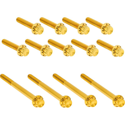 HARDWARE KIT TITANUIM 12PT PRIMARY COVER GOLD