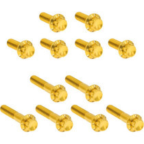HARDWARE KIT TITANUIM 12PT ROCKER BOX GOLD