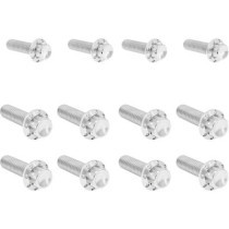 Bolt Kit - Transmission Side Cover/Trap Door - 12-Point - Polished