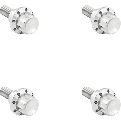 BOLT KIT TITANIUM 12PT  WINDSHIELD POLISH