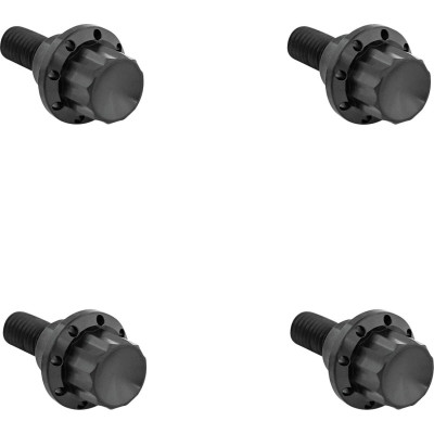 BOLT KIT TITANIUM 12PT  WINDSHIELD BLACK