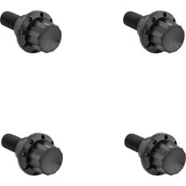 BOLT KIT TITANIUM 12PT  WINDSHIELD BLACK