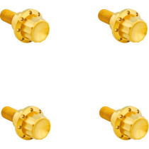 BOLT KIT TITANIUM 12PT  WINDSHIELD GOLD